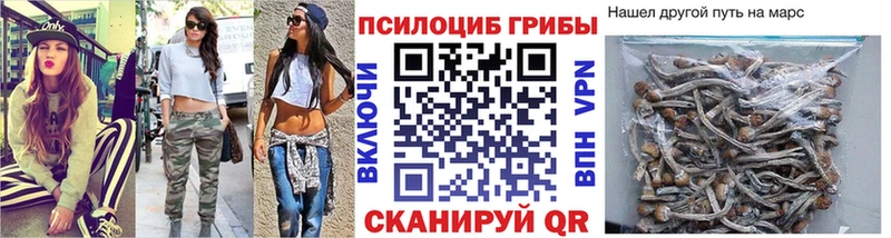 Псилоцибиновые грибы Cubensis  Кинель 